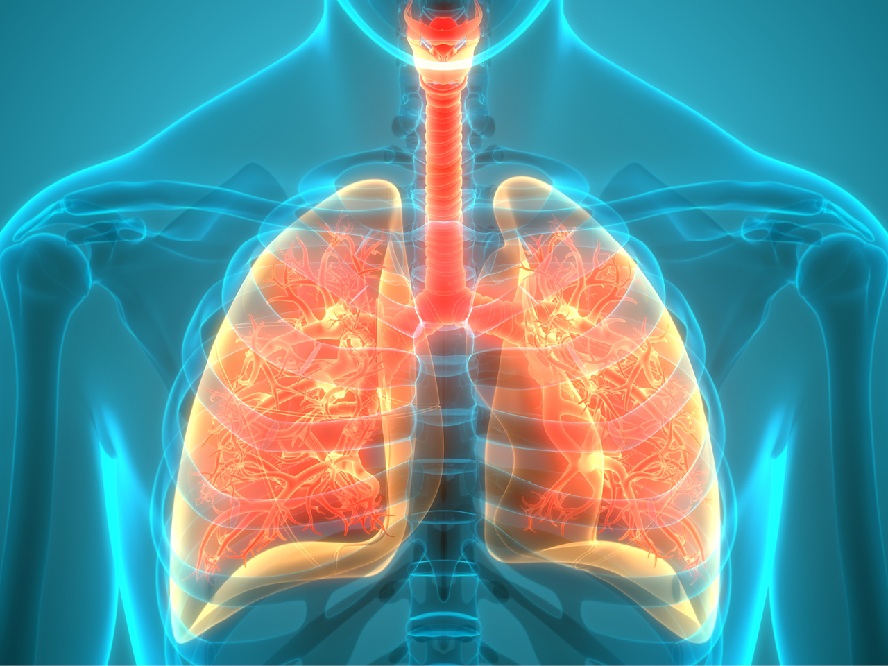COPD specialist in Greater Noida